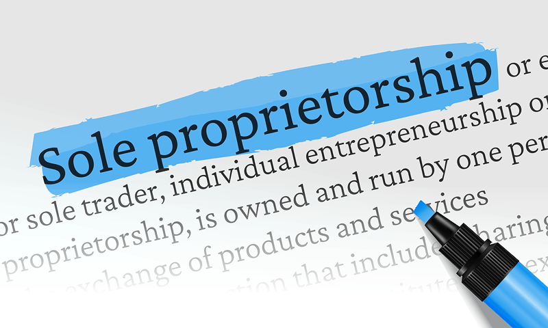 what is a sole proprietorship